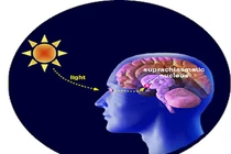 Ánh sáng ban đêm "tiếp tay" cho bệnh ung thư phát triển?
