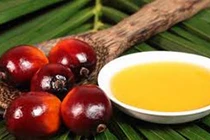 Top thực phẩm tàn phá trái tim mà ai cũng thích