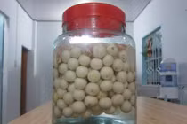 Bí quyết muối cà pháo ngon, giòn hết xảy