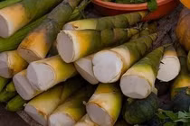 Cách chế biến măng tươi loại bỏ chất độc