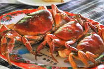 Món ngon "níu chân du khách" ở Cù Lao Chàm 