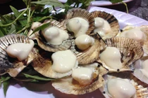 Giải mã “bí ẩn” ốc Sài Gòn nổi danh hút khách