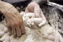 La liệt món ăn từ tinh hoàn trong lễ hội Mỹ