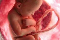 Ăn nhau thai của mình để tránh trầm cảm sau sinh