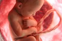 Ăn nhau thai của mình để tránh trầm cảm sau sinh