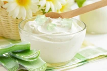 Mát ngọt sữa chua từ nha đam