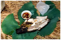 Điểm mặt món cá ngon vùng đồng bằng sông Cửu Long 