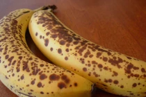 5 món tuyệt ngon từ chuối chín làm vài phút là xong