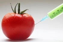 5 tin đồn sai lầm trong chế độ ăn uống