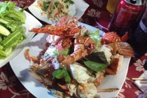 Đi tránh rét và ăn tôm hùm siêu rẻ ở Bình Ba