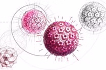 Cách giảm hooc môn estrogen để tránh ung thư vú