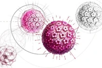 Cách giảm hooc môn estrogen để tránh ung thư vú