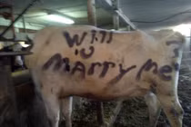 Những màn cầu hôn bạn gái dở tệ nhất thế gian