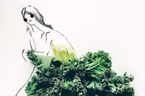 Thời trang rau củ vừa điệu vừa ngon mắt đến phát thèm