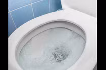 Sai lầm khi dùng nhà tắm khiến bạn mắc bệnh truyền nhiễm 