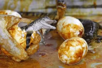 10 món ăn sáng kỳ lạ nhất thế giới