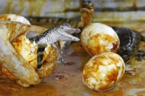 10 món ăn sáng kỳ lạ nhất thế giới