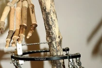 Cha tỉ mẩn làm bộ xương người khích lệ tinh thần con