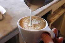 Uống cà phê mỗi ngày phòng chống khối u ác tính