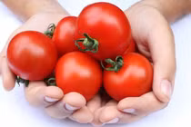 Những sai lầm cực kỳ tai hại khi ăn cà chua