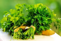 Rau mùi tây chữa bệnh ung thư và tim mạch cực tốt