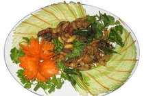 Món ngon từ nhộng ong đất Quảng