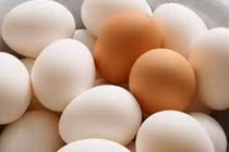 Mẹo chọn mua trứng gà mới đẻ và khỏe mạnh