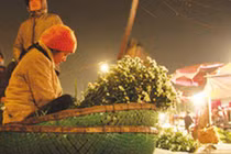 Video: Dựng lều, trắng đêm vẫn lo mất cây cảnh bạc triệu