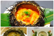 Video: Chẳng cần thuốc Tây, chữa bệnh bằng “nhân sâm của biển” tốt hơn nhiều