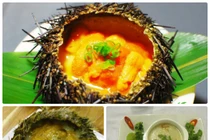 Video: Chẳng cần thuốc Tây, chữa bệnh bằng “nhân sâm của biển” tốt hơn nhiều