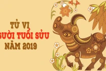 Video: Tuổi Sửu chọn màu nào cho để năm 2019 may mắn
