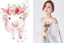 Video: Con giáp phạm thái tuế hóa hung thành cát năm 2019