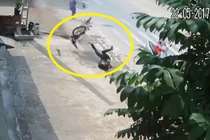 Video: Lại có thêm người ngã oan vì chó thả rông