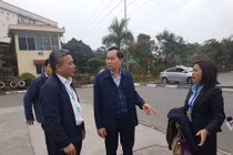 Video: Tổng cục trưởng "vi hành", xử ngay cô gái cầm vô lăng mang theo điện thoại