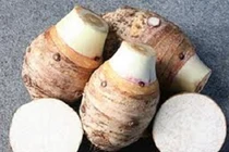 Video: Loại củ rẻ tiền có công dụng được ví như “tiên dược“