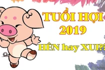 Video: Tử vi tình duyên 2019 của tuổi Hợi năm nay có thuận lợi?