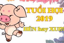 Video: Tử vi tình duyên 2019 của tuổi Hợi năm nay có thuận lợi?