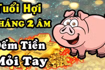 Video: Tử vi tuổi Hợi tháng 2 Âm có giúp sự nghiệp thành công lớn?