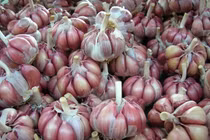 Video: Chỉ cần duy trì thói quen ăn 2 tép tỏi/ngày, điều kỳ diệu sẽ tới