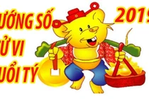 Video: Tử vi tình duyên tuổi Tý năm 2019 vui buồn đan xen