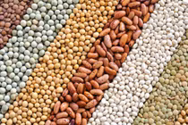 Video: Ăn gì bổ não để trí óc minh mẫn, nhớ lâu?