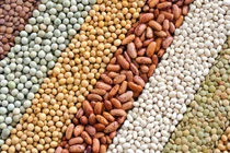 Video: Ăn gì bổ não để trí óc minh mẫn, nhớ lâu?