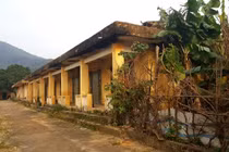 Ngày cận Tết nghe chuyện tình nhói lòng ở trại phong bỏ hoang Hà Nội