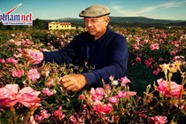 Video: Đến Pháp thăm Grasse - Thủ phủ nước hoa của Thế giới