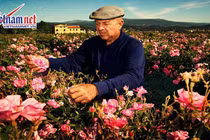 Video: Đến Pháp thăm Grasse - Thủ phủ nước hoa của Thế giới