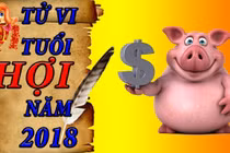 Video: Tử vi tuổi Hợi tháng 12 âm lịch năm 2018
