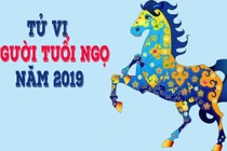 Video: Màu sắc phong thủy cho tuổi Ngọ năm 2019