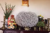 Bát hương "cổ thụ" tưởng gia chủ có phước, thầy phong thủy lắc đầu: Nhầm to!