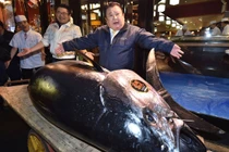 Video: Vì sao chủ cửa hàng sushi bỏ 3,1 triệu USD mua một con cá ngừ?