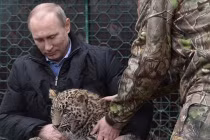 Tổng thống Putin gây sốt vì thuần phục báo hoang 